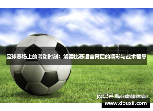 足球赛场上的激动时刻：解读比赛语音背后的精彩与战术智慧