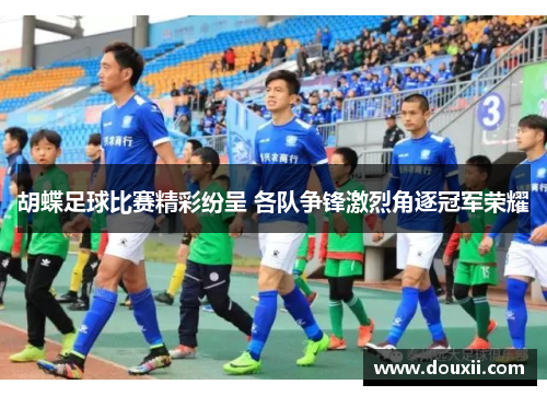 胡蝶足球比赛精彩纷呈 各队争锋激烈角逐冠军荣耀